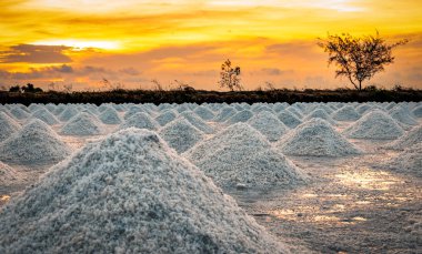 Salt farm in the morning with sunrise sky. Organic sea salt. Evaporation and crystallization of sea water. Raw material of salt industrial. Sodium Chloride. Solar evaporation system. Iodine salt. clipart
