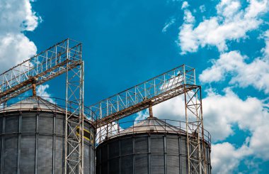 Yem fabrikası fabrikasında tarım silosu. Çiftlikte tahıl, buğday, mısır depolamak ve kurutmak için düz silo. Tarımsal ürünün depolanması. Tahıl depolamak için büyük bir tank. Tahıl stok kulesi. Tarım endüstrisi. 