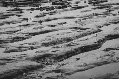 Gelgit çamuru. Ripple plajı. Düşük gelgit. Kıyılarda doğa. Kötü gün kavramı üzgün yaşam için gri arka plan. Akşam deniz plajı. Deniz kıyısında gelgit fenomeni.