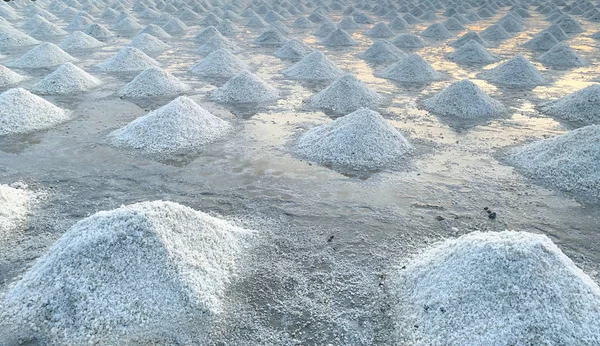 Granja de sal salada en Samut Sakhon, Tailandia. Sal marina orgánica. Evaporación y cristalización del agua de mar. Materia prima de sal industrial. Cloruro de sodio. Sistema de evaporación solar. Fuente de yodo . — Foto de Stock