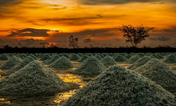 Granja de sal en la mañana con el cielo del amanecer. Sal marina orgánica. Evaporación y cristalización del agua de mar. Materia prima de sal industrial. Cloruro de sodio. Sistema de evaporación solar. Sal de yodo . — Foto de Stock