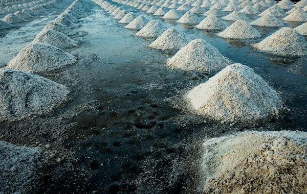 Granja de sal marina en Samut Sakhon, Tailandia. Sal marina orgánica. Evaporación y cristalización del agua de mar. Materia prima de sal industrial. Cloruro de sodio. Sistema de evaporación solar. Fuente de yodo . — Foto de Stock