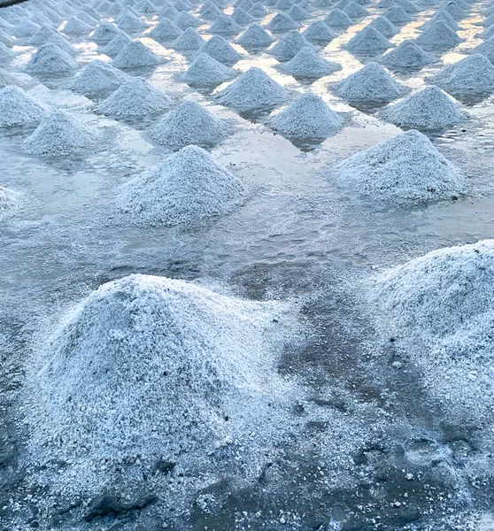 タイ・サムット・サコーンの海塩農場。有機海塩。海水の蒸発と結晶化。塩工業の原料。塩化ナトリウム太陽蒸発システム。ヨウ素源. — ストック写真