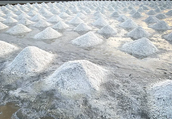 Salina marina in Thailandia. Sale marino biologico. Evaporazione e cristallizzazione dell'acqua di mare. Materia prima di sale industriale. Cloruro di sodio. Sistema di evaporazione solare. Fonte di iodio. Primo piano mucchio di sale — Foto Stock