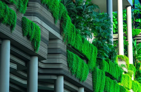 Edifício ecológico com jardim vertical na cidade moderna. Planta verde e floresta arbórea e hera na fachada da construção sustentável. Arquitetura de poupança de energia com jardim vertical. Ambiente limpo . — Fotografia de Stock