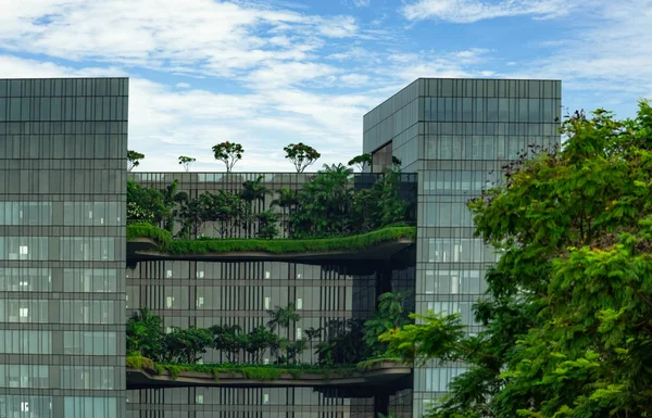 Eco friendly glass building with vertical garden in modern city. Green plant and tree forest and ivy on facade on sustainable building. Energy saving architecture with vertical garden.  Modern design.