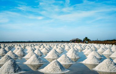 Tayland'da deniz tuzu çiftliği ve ahır. Organik deniz tuzu. Tuz sanayiinin hammaddesi. Sodyum Klorür. Güneş buharlaşma sistemi. İyot kaynağı. Mavi gökyüzü ile güneşli bir günde çiftlikte çalışan işçi.