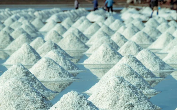 Tengeri só gazdaság Thaiföldön. Organikus tengeri só. A tengervíz elpárologtatása és kristályosítása. A sósipari nyersanyag. Nátrium-klorid. Szoláris párologtató rendszer. Jód forrása. Closeup só halom — Stock Fotó
