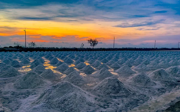 Fattoria di sale al mattino con cielo all'alba. Sale marino biologico. Evaporazione e cristallizzazione dell'acqua di mare. Materia prima di sale industriale. Cloruro di sodio. Sistema di evaporazione solare. Sale di iodio . — Foto Stock