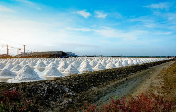 Fattoria di sale marino e fienile in Thailandia. Sale marino biologico. Materia prima di sale industriale. Cloruro di sodio. Sistema di evaporazione solare. Fonte di iodio. Lavoratore che lavora in fattoria nella giornata di sole con cielo blu . — Foto Stock