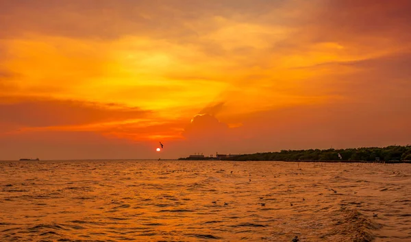 Гарний захід сонця небо і хмари над морем. Птицю літають біля достатку мангрових лісів. Мангрова екосистема. Гарне середовище. Пейзаж узбережжя або узбережжя. Мальовничі небо захід в Таїланді. — стокове фото