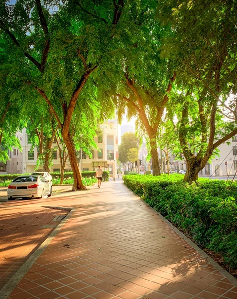 Camino en parque junto a la carretera en la ciudad. Árbol verde en el jardín por la mañana. Aparcamiento en alquiler en Singapur. Un hombre caminando por el sendero. Actividad urbana al aire libre. Luz solar de verano. Ciudad verde . — Foto de Stock
