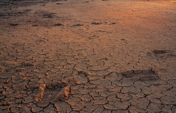 気候変動と干ばつの土地。水危機だ気候を守る。土を割れ地球温暖化環境問題。自然災害だ乾燥した土壌テクスチャの背景。干ばつ地に太陽光で足跡. — ストック写真