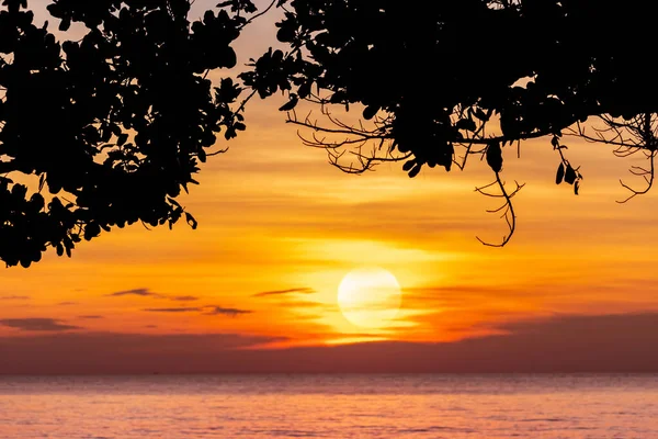 Verão Céu Por Sol Praia Tropical Vista Debaixo Árvore Árvore — Fotografia de Stock