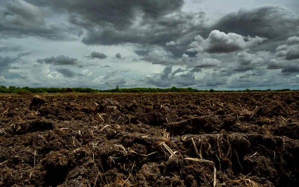 Agriculture plowed field. Black soil plowed field with stormy sky. Dirt soil ground in farm. Tillage soil prepared for planting crop. Fertile soil in organic agricultural farm. Landscape of farmland.