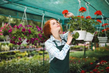 Çok gülümseyen çiçekçi çiçek ile çalışma önlük. Çiçeklerle ayakta ve sevinçle bir kenara arıyorum Genç Bayan
