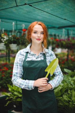 Önlük küçük bahçe kürekle el duran güzel çiçekçi. Genç Bayan sersem çiçeklerle çalıştığınız sırada kamera arıyorum
