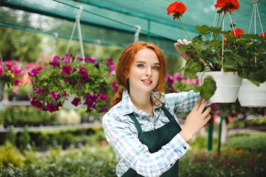 Güzel çiçekçi çiçek ile çalışma önlük. Çiçeklerle ayakta ve sersem kamera arıyorum Genç Bayan
