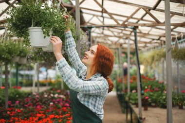Güzel gülümseyen çiçekçi çiçek ile çalışma önlük. Çiçeklerle duran ve sonsuza dek mutlu bir kenara arıyorum Genç Bayan