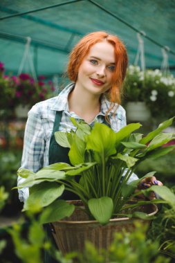 Ellerinde büyük çiçek ile ayakta ve sevinçle kamera seyir önlük sevimli gülümseyen çiçekçi