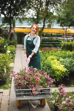 Mutlu bir şekilde kamera duran çiçekli bahçe sepeti sera içinde seyir önlük ve pembe eldiven güzel çiçekçi