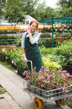 Mutlu bir şekilde kamera duran çiçekli bahçe sepeti sera içinde seyir önlük ve pembe eldiven neşeli çiçekçi