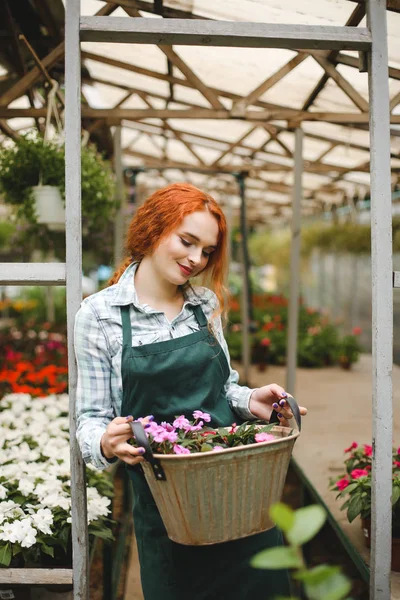 Όμορφη Ανθοπωλείο Στην Ποδιά Στέκεται Μεταλλικό Καλάθι Λουλούδια Στα Χέρια — Φωτογραφία Αρχείου