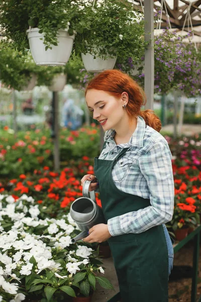 Young smiling florist in apron standing with watering can and water the flowers while working in greenhouse