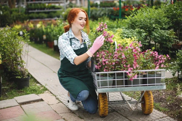 Önlük ve pembe eldiven mutlu sera bahçe sepeti çiçeklerle çalışma oldukça gülümseyen çiçekçi
