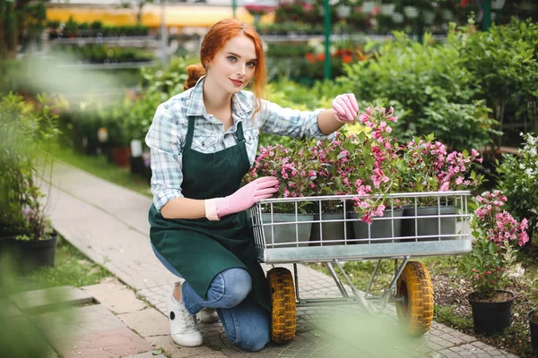 Young beautiful florist in apron and pink gloves dreamily looking in camera while working with flowers in garden cart in greenhouse — Stock Image Young Beautiful Florist Apron Pink Gloves Dreamily Looking Camera While Stock Picture