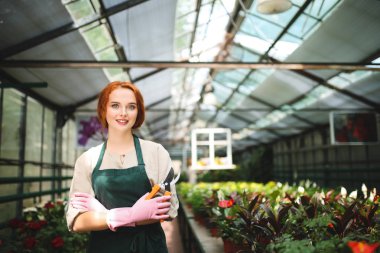 Önlük ve pembe eldiven bahçe makası ile elinde duran güzel gülümseyen çiçekçi. Genç Bayan mutlu kamera sera çiçeklerle çalışırken arıyorum