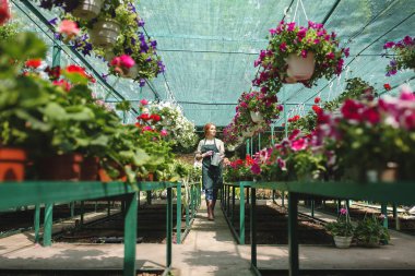 Güzel çiçekler ve büyük serada çalışma çevresinde sulama olabilir ile genç çiçekçi önlük ayakta eller