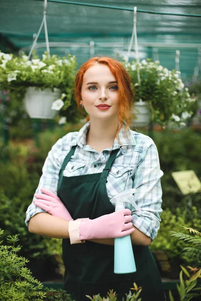 Güzel Bayan sprey şişeyle elinde duran ve sersem serada çalıştığınız sırada kamera seyir önlük ve pembe eldiven