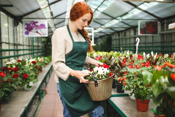 Beautiful Lady Apron Standing Holding Flowers Metal Pot While Thoughtfully — Stock Photo, Image