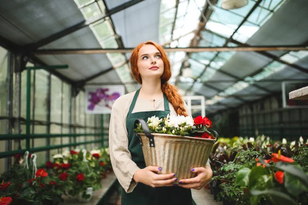 Ayakta ve sersem bir kenara serada bakarken metal kap içinde çiçek tutan önlük güzel dalgın çiçekçi