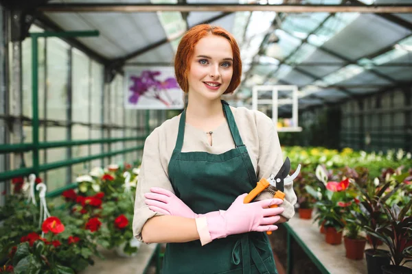 Güzel bahçe makası ile elinde duran ve sevinçle kamera sera çiçeklerle çalışırken seyir pembe eldiven ve önlük çiçekçi gülümseyen