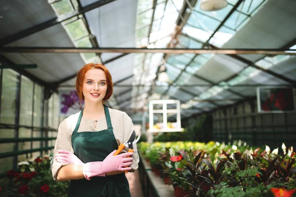 Önlük ve pembe eldiven bahçe makası ile elinde duran güzel gülümseyen çiçekçi. Genç Bayan mutlu kamera sera çiçeklerle çalışırken arıyorum
