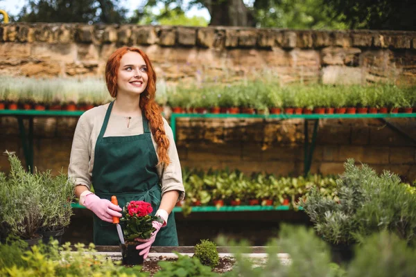 Tencereye güzel bir çiçek dikim ve sersem bir kenara serada seyir sırasında küçük Bahçe Küreği kullanarak pembe eldiven ve önlük çiçekçi gülümseyen