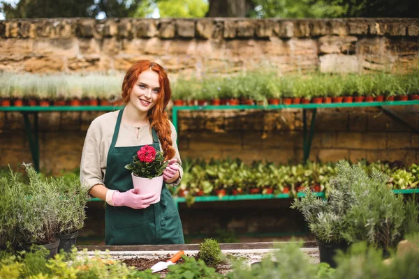 Tencerede güzel çiçek ve mutlu bir şekilde kamera seyir serada güzel çiçekçi holding önlük ve pembe eldiven eller