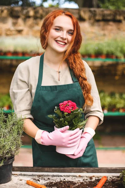 Pretty Smiling Lady Apron Pink Gloves Holding Hands Beautiful Flower — Stock Photo, Image
