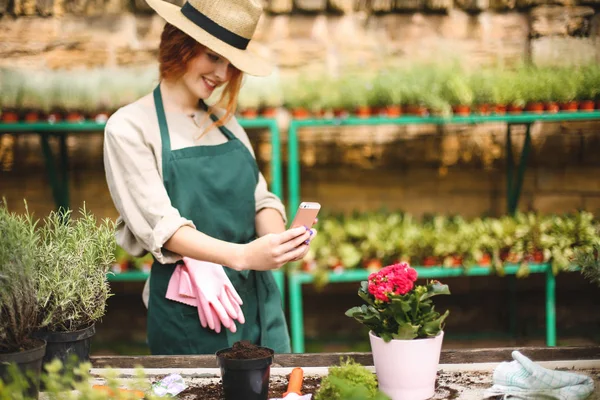 Genç güzel önlük ve ayakta ve cep telefonunu sera içinde üzerinde tencerede çiçek fotoğrafını çekmek şapka çiçekçi
