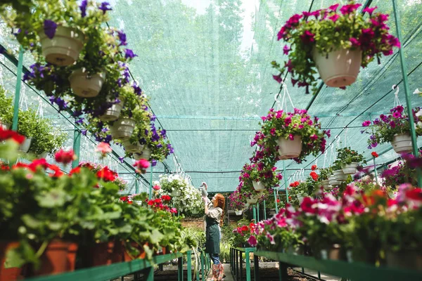 Jovem Florista Bonita Avental Regar Belas Flores Enquanto Trabalhava Grande — Fotografia de Stock