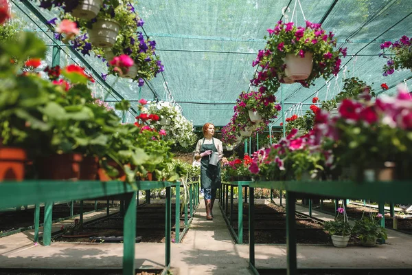 Güzel çiçekler ve büyük serada çalışma çevresinde sulama olabilir ile genç çiçekçi önlük ayakta eller