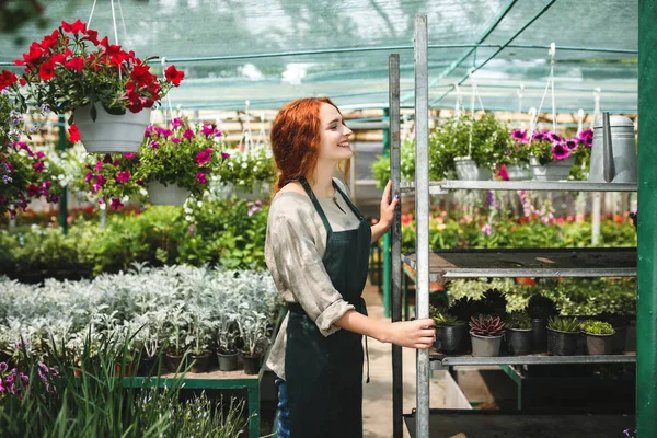 Munter Blomsterhandler Forklæde Stående Omkring Smukke Blomster Lykkeligt Arbejder Stort - Stock-foto