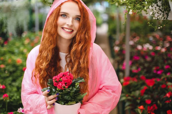 Senhora Muito Alegre Com Cabelo Encaracolado Ruivo Capa Chuva Rosa — Fotografia de Stock