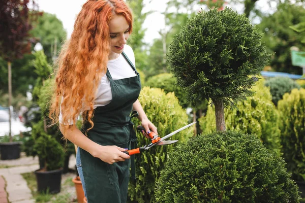 Güzel Bayan bahçıvan önlük ayakta ve açık havada çalışırken büyük bahçe makas tutan Kızıl saçlı kıvırcık saçlı