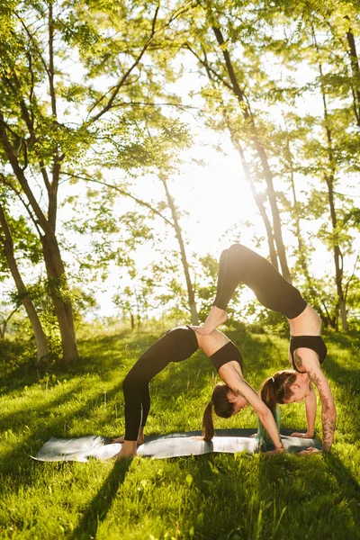 Young Pretty Ladies Standing Bridge Poses While Training Yoga Together — Stock Photo, Image