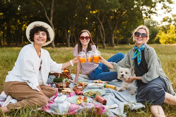 Company of girls happily looking in camera holding orange juice in hands on picnic. Young ladies and little white dog  joyfully spending time in park