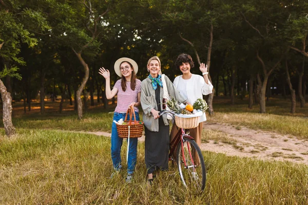 자전거와 바구니 야생화와 즐겁게 흔들며 공원에 카메라 과일의 여자의 — 스톡 사진