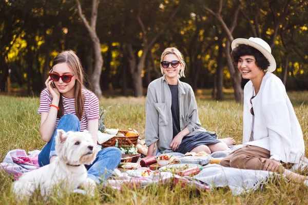 Pretty girl in sunglasses talking on cellphone happily spending time with friends and little dog on picnic in park